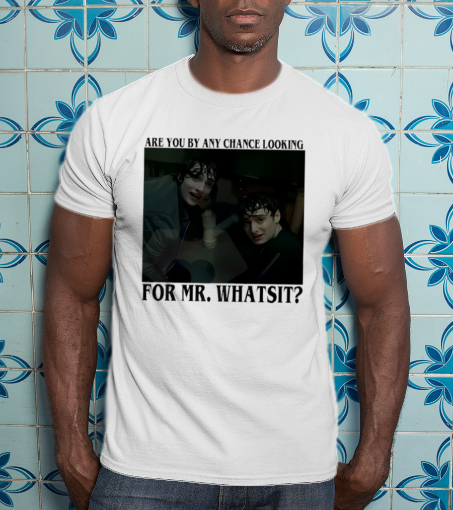 Mike And Will Are You By Any Chance Looking For Mr. Whatsit Stranger 1980s Adventure Fantasy T-Shirt