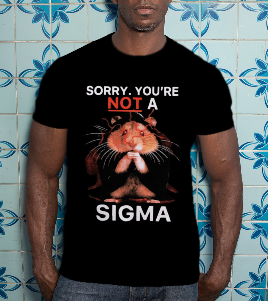 Sorry You're Not A Sigma Hamster T-Shirt