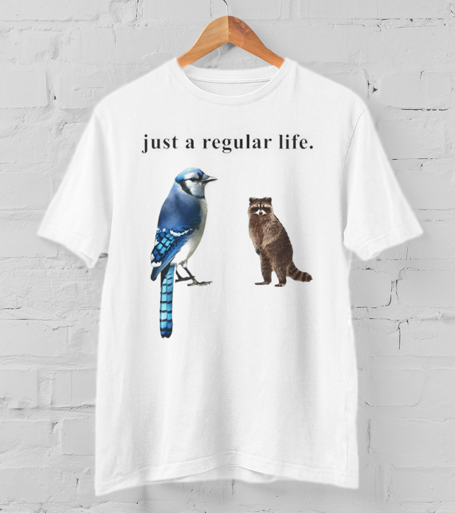 Just A Regular Life Raccoon And Bird Regular Show T-Shirt