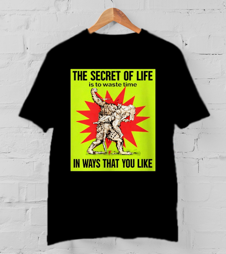 The Secret Of Life Is To Waste Time In Ways That You Like Comic Style Red Burst T-Shirt