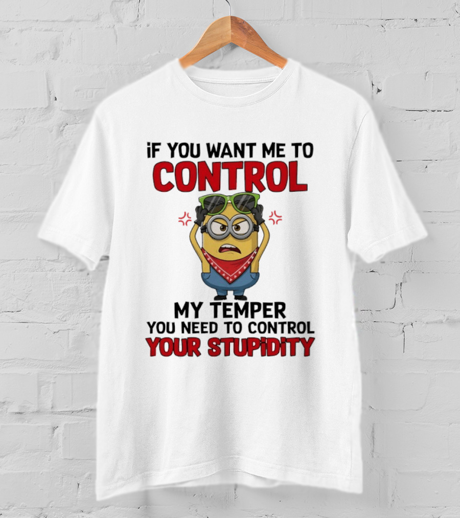 Grumpy Minion Control My Temper Control Your Stupidity T-Shirt