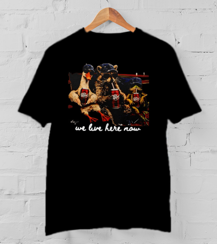 We Live Here Now Goose Raccoon Dr Pepper Meme T-Shirt
