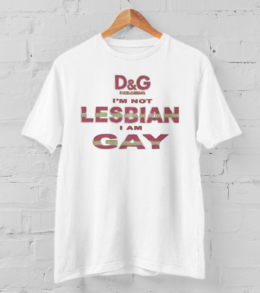 D&G I'm Not Lesbian I Am Gay LGBT Pride T-Shirt