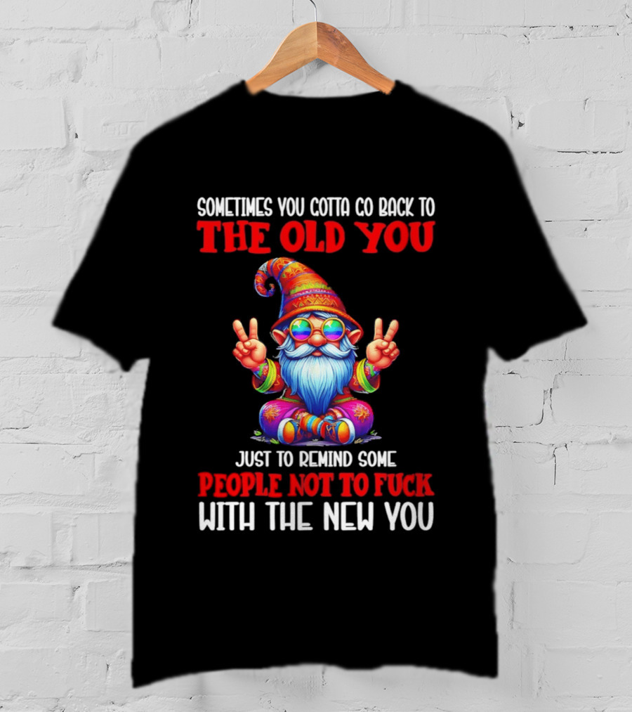 Sometimes You Gotta Go Back To The Old You Just To Remind Some People Not To Fuck With The New You T-Shirt