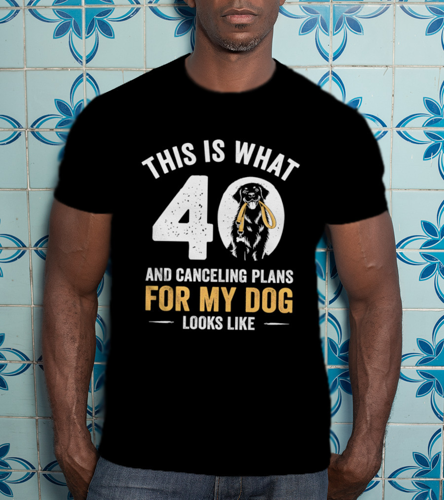This Is What 40 And Canceling Plans For My Dog Looks Like 40th Birthday T-Shirt