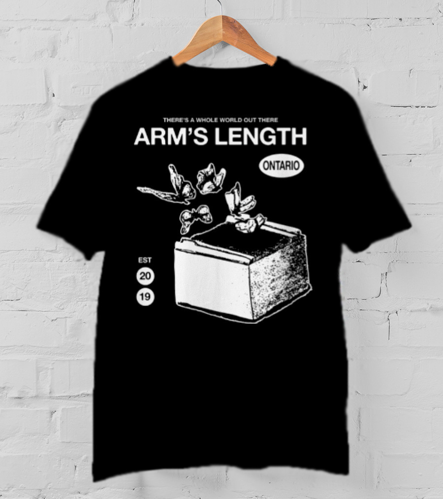 Arm's Length There's A Whole World Out There Butterfly Cube Art Set 1 T-Shirt