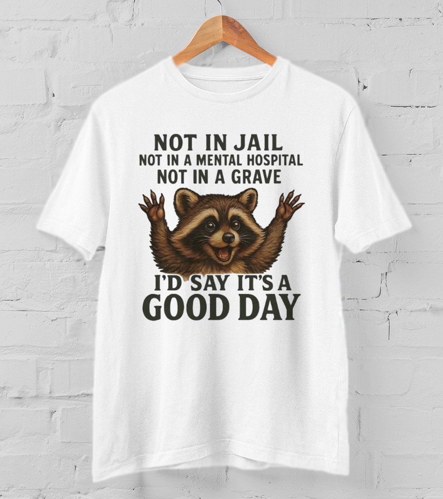 Raccoon Not In Jail Not In A Mental Hospital Not In A Grave I’d Say It’s A Good Day T-Shirt