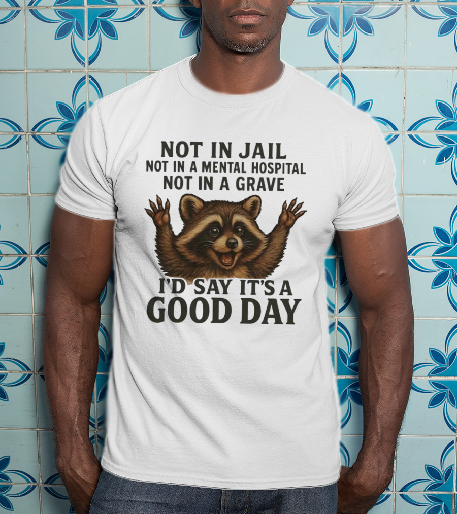 Raccoon Not In Jail Not In A Mental Hospital Not In A Grave I’d Say It’s A Good Day T-Shirt