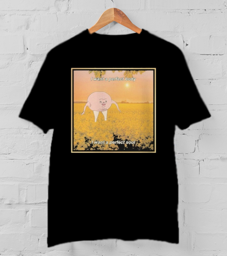I Want A Perfect Body I Want A Perfect Soul Sunset Parody T-Shirt