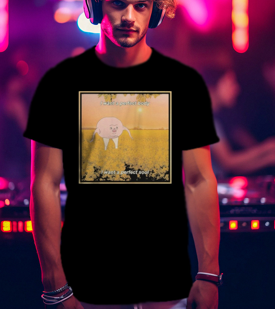 I Want A Perfect Body I Want A Perfect Soul Sunset Parody T-Shirt