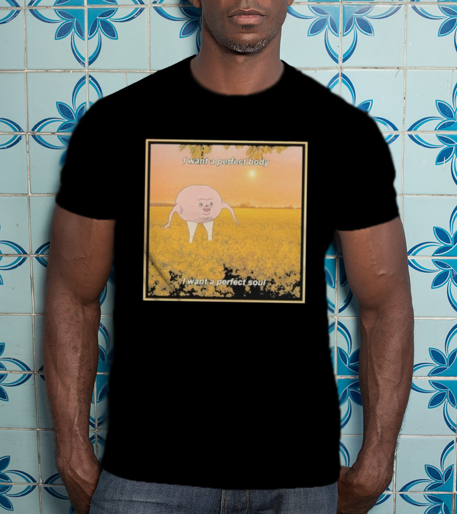 I Want A Perfect Body I Want A Perfect Soul Sunset Parody T-Shirt