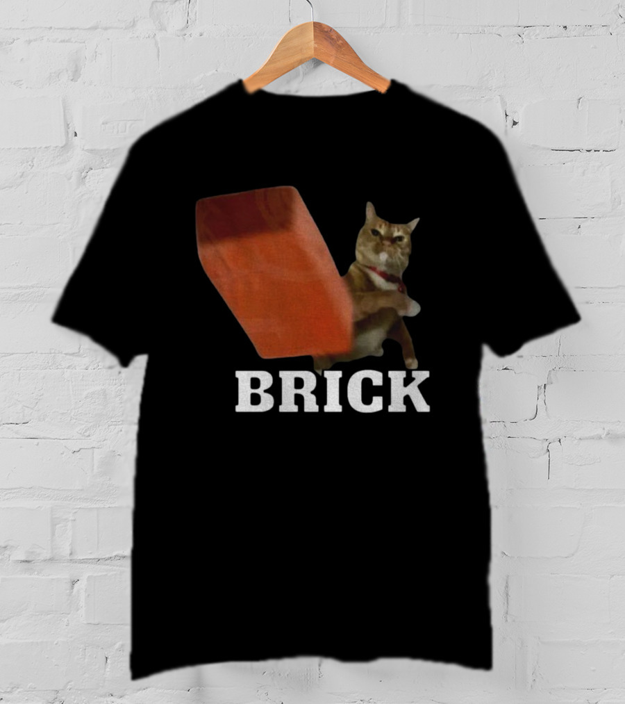 Funny Cat Brick Throw Meme T-Shirt