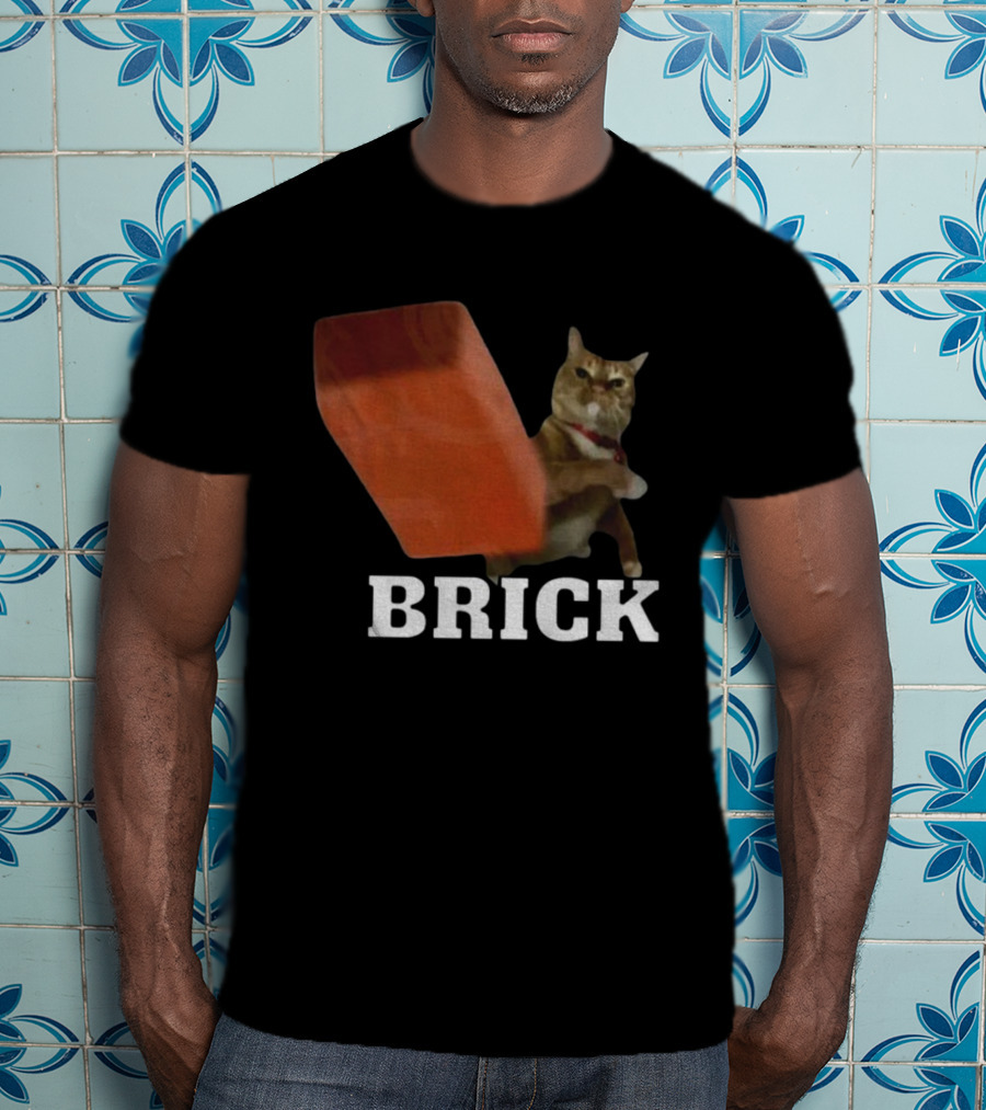 Funny Cat Brick Throw Meme T-Shirt