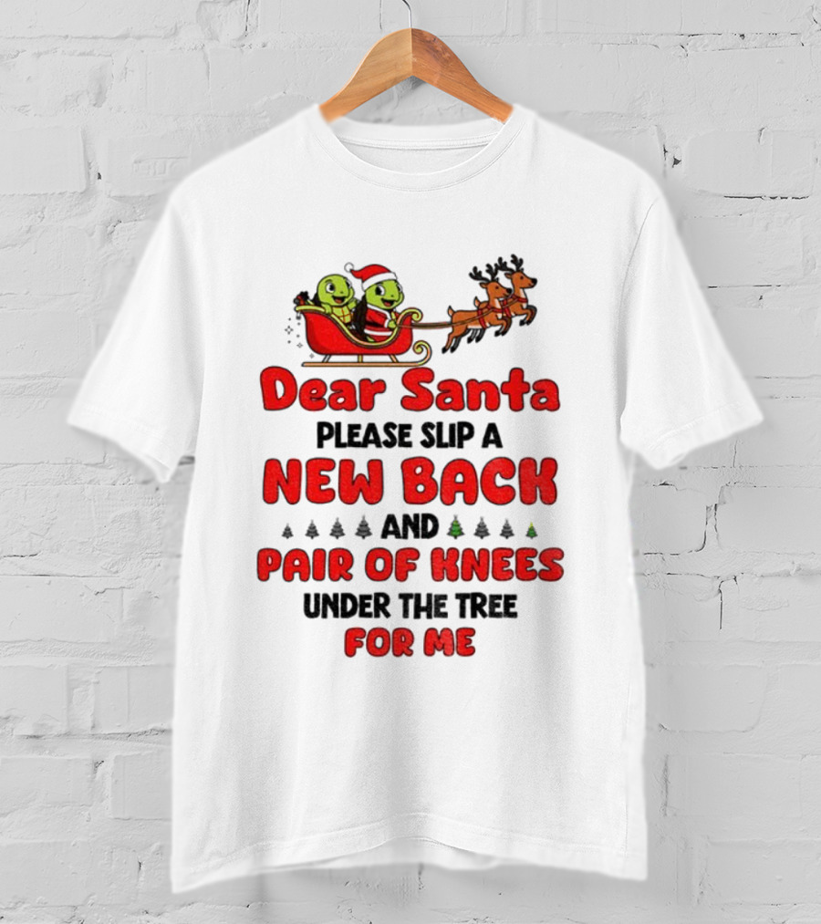 Dear Santa New Back Pair Of Knees Holiday Turtle Sleigh T-Shirt