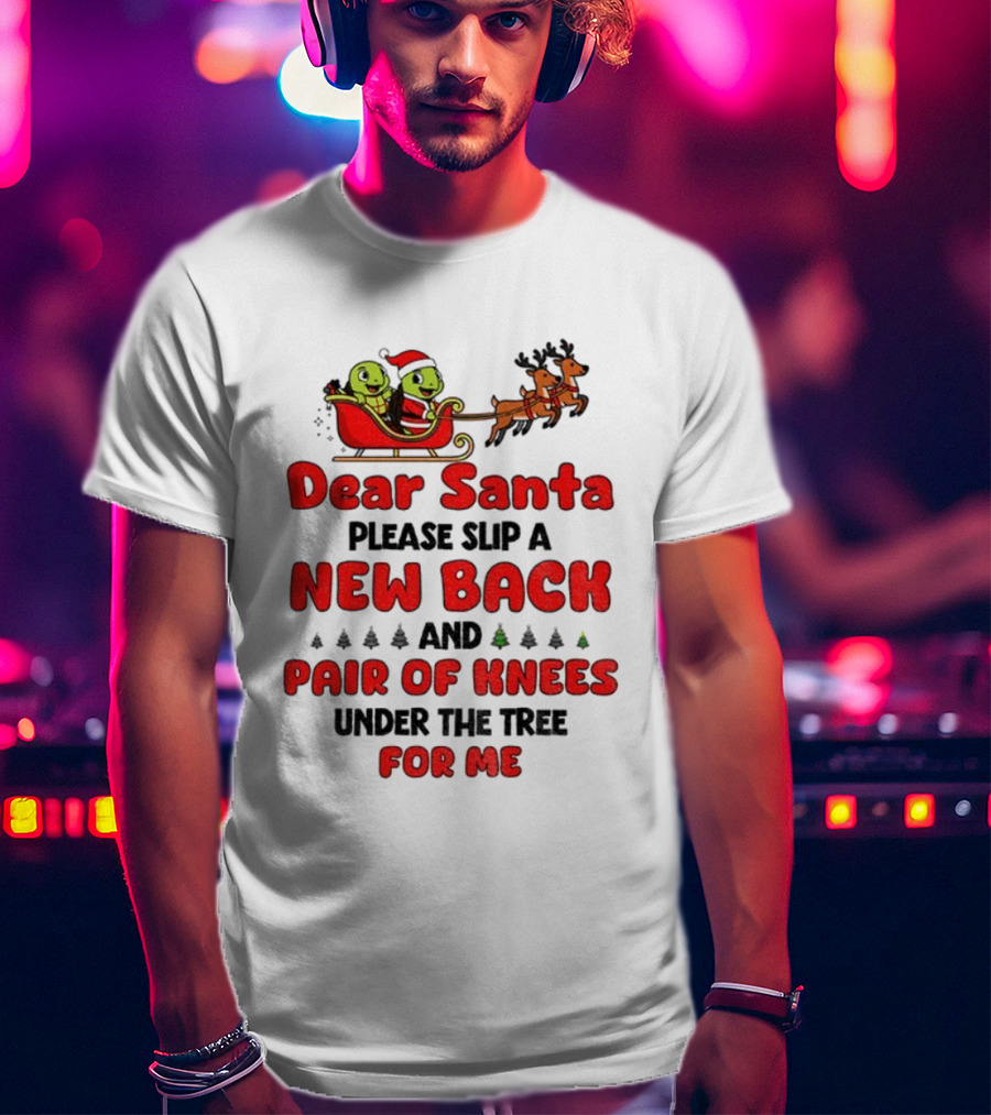 Dear Santa New Back Pair Of Knees Holiday Turtle Sleigh T-Shirt