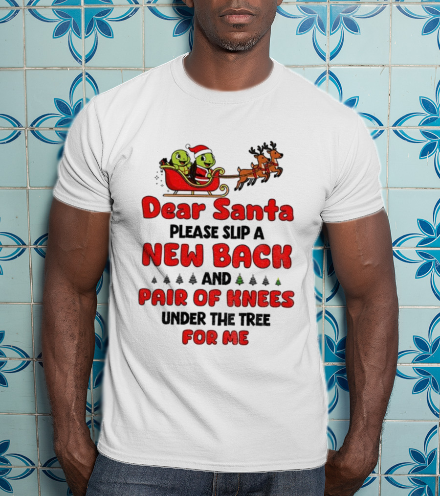 Dear Santa New Back Pair Of Knees Holiday Turtle Sleigh T-Shirt