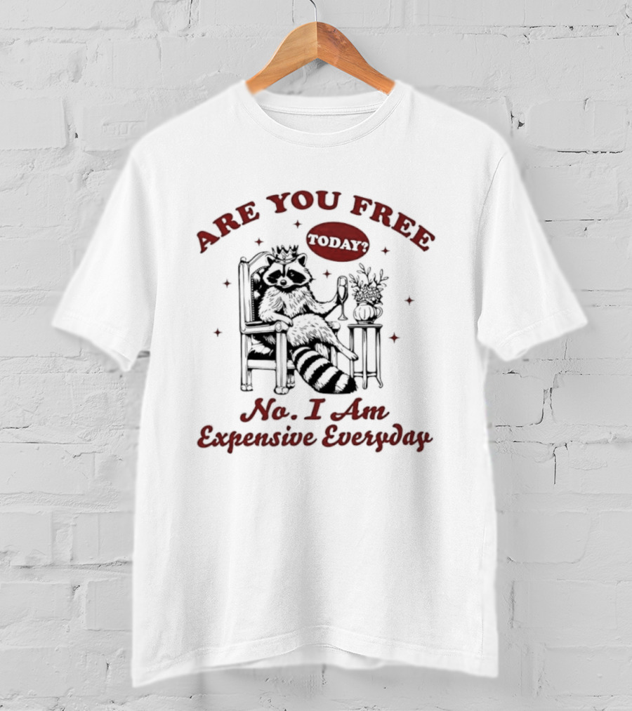 Are You Free Today No I Am Expensive Everyday Raccoon T-Shirt