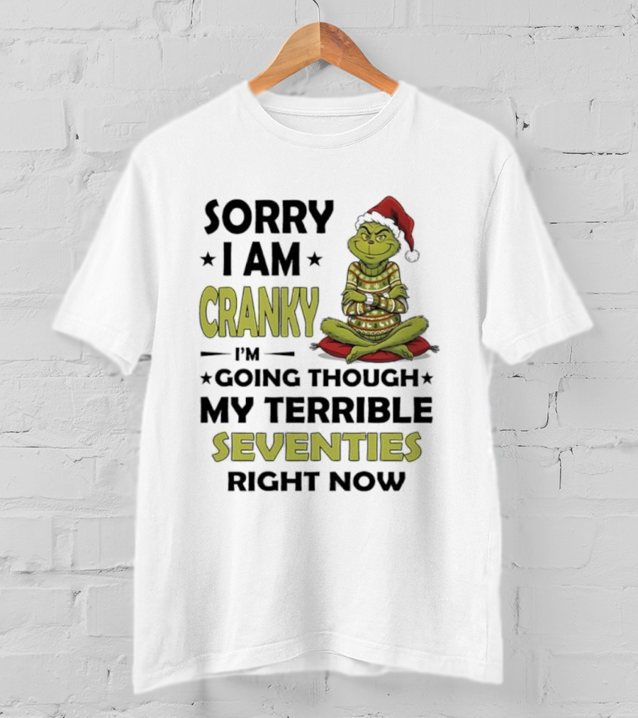 Sorry I Am Cranky Grinch Santa Hat Going Through My Terrible Seventies T-Shirt