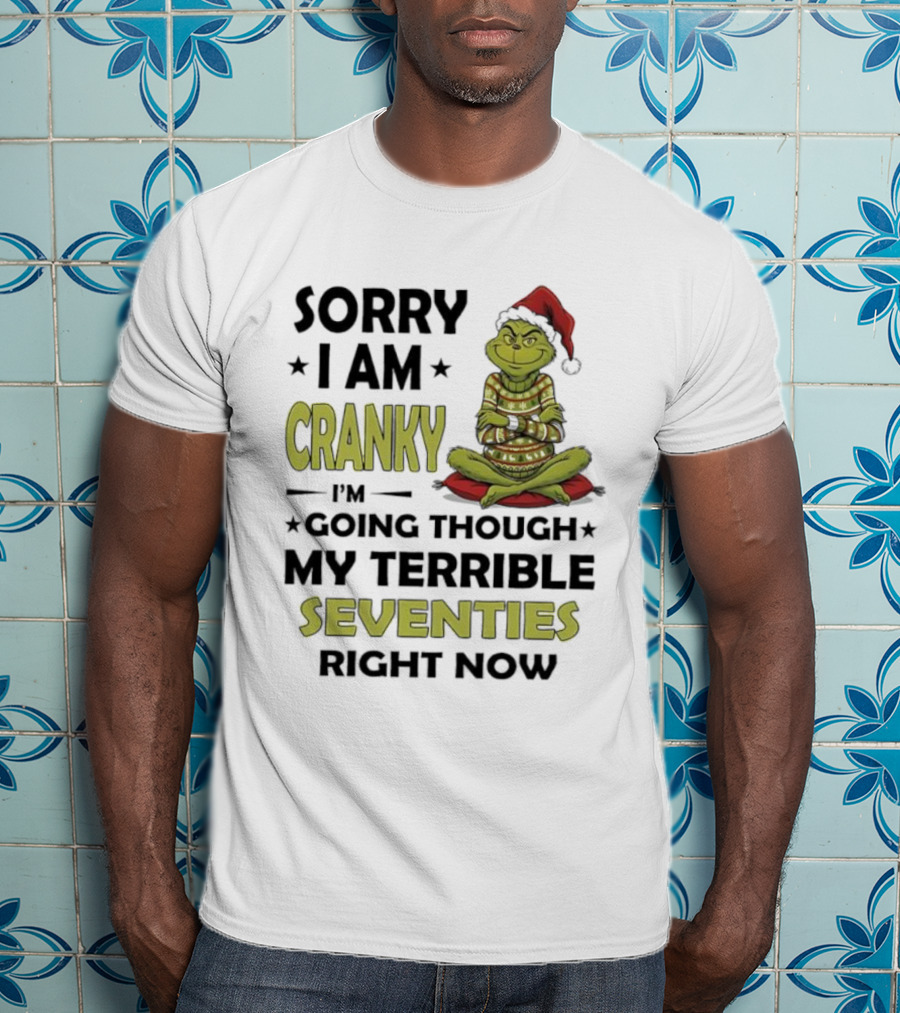 Sorry I Am Cranky Grinch Santa Hat Going Through My Terrible Seventies T-Shirt