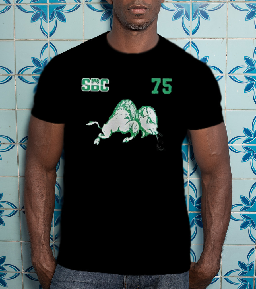 Marshall Thundering Herd SBC 75 We Are Marshall 1970 T-Shirt
