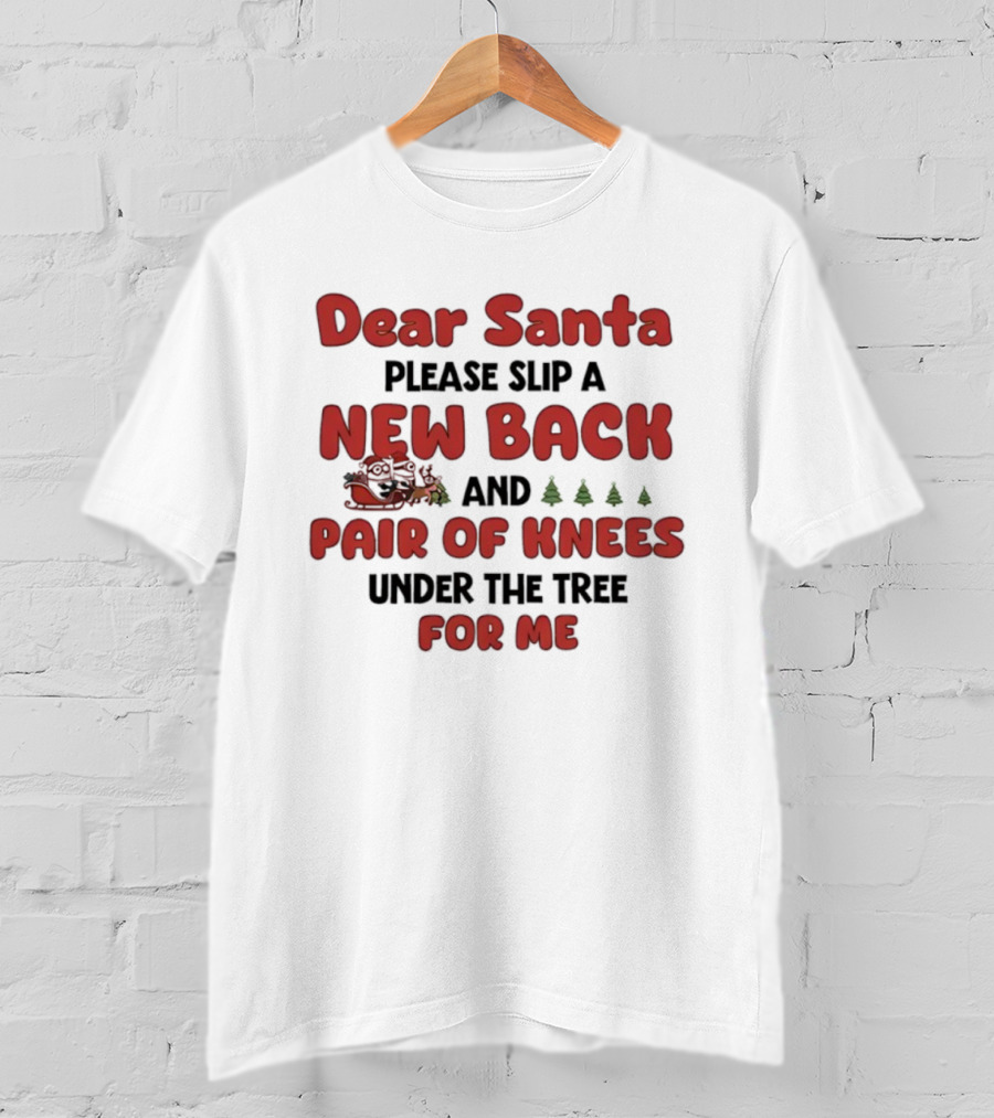 Dear Santa Please Slip A New Back And Pair Of Knees Under The Tree For Me T-Shirt