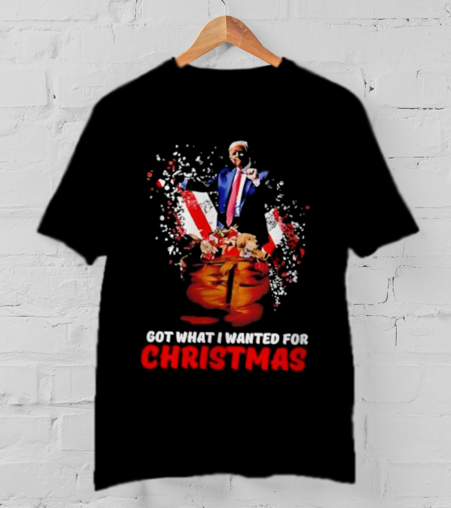 Trump Got What I Wanted For Christmas Santa Bag Fireworks T-Shirt