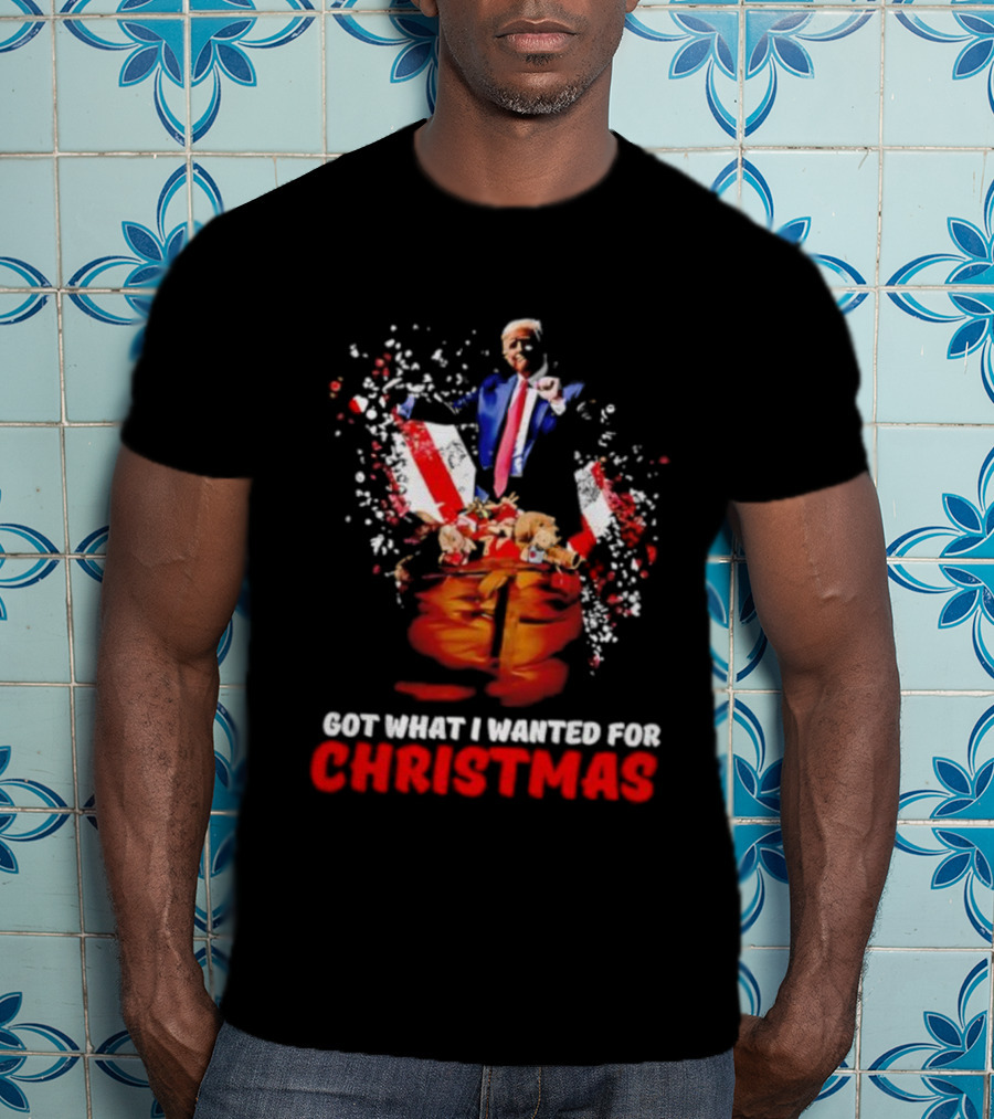 Trump Got What I Wanted For Christmas Santa Bag Fireworks T-Shirt