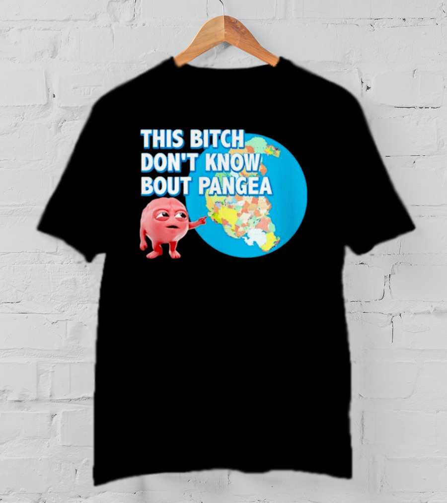 This Bitch Don't Know Bout Pangea Brain Meme Map T-Shirt