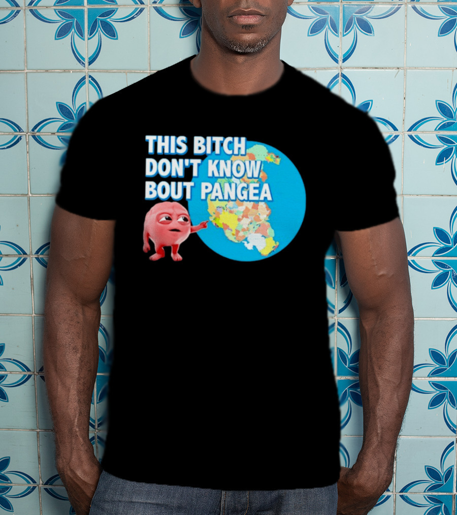 This Bitch Don't Know Bout Pangea Brain Meme Map T-Shirt
