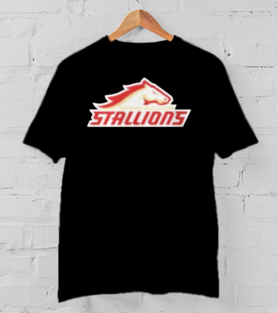 Mintzy Birmingham Stallions Team T-Shirt