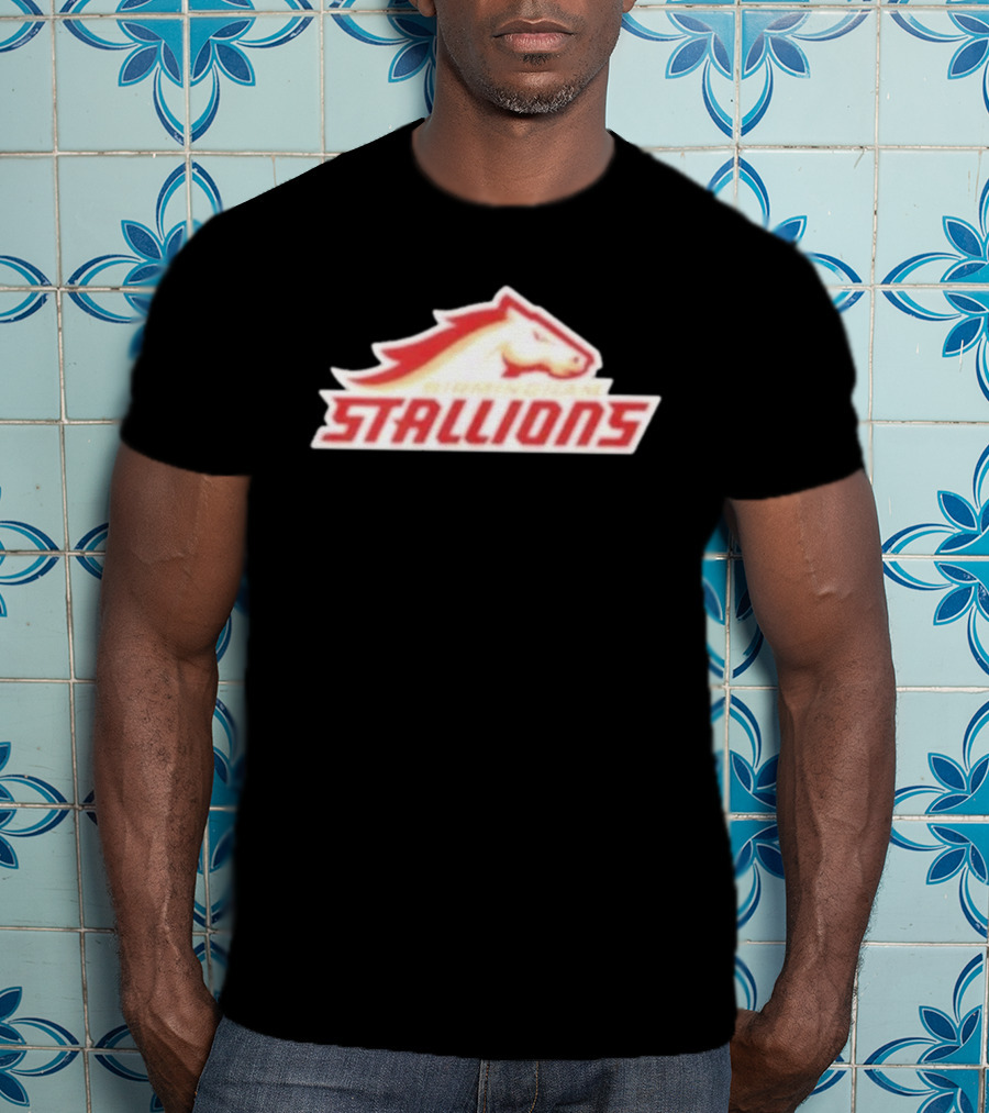 Mintzy Birmingham Stallions Team T-Shirt