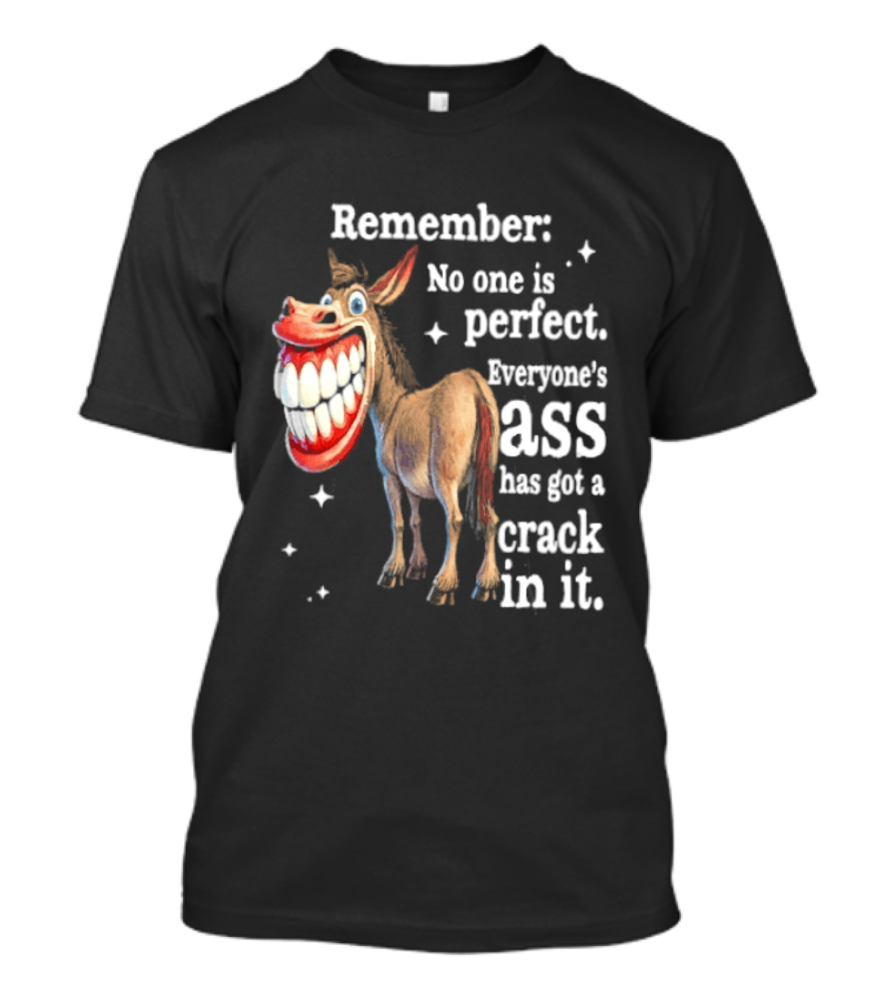 Remember No One Is Perfect Everyone's Ass Has Got A Crack In It Donkey T-Shirt
