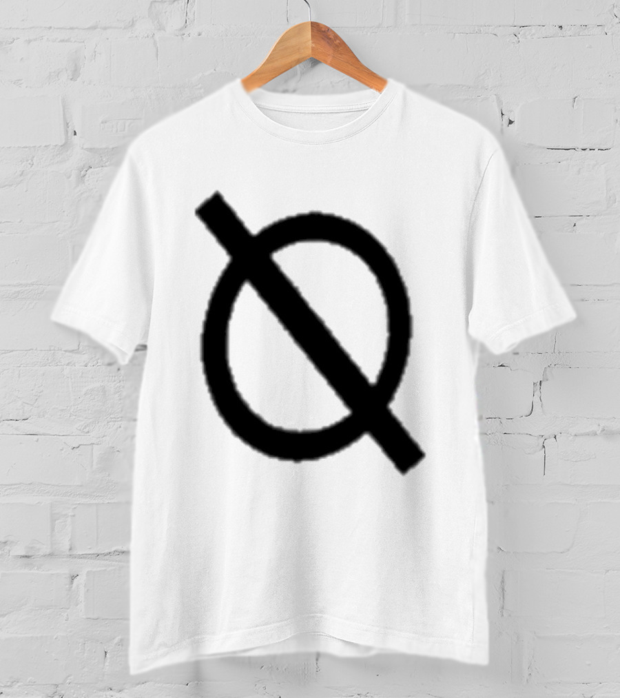 Can Anyone Find This Nitw Why'd You Do It T-Shirt