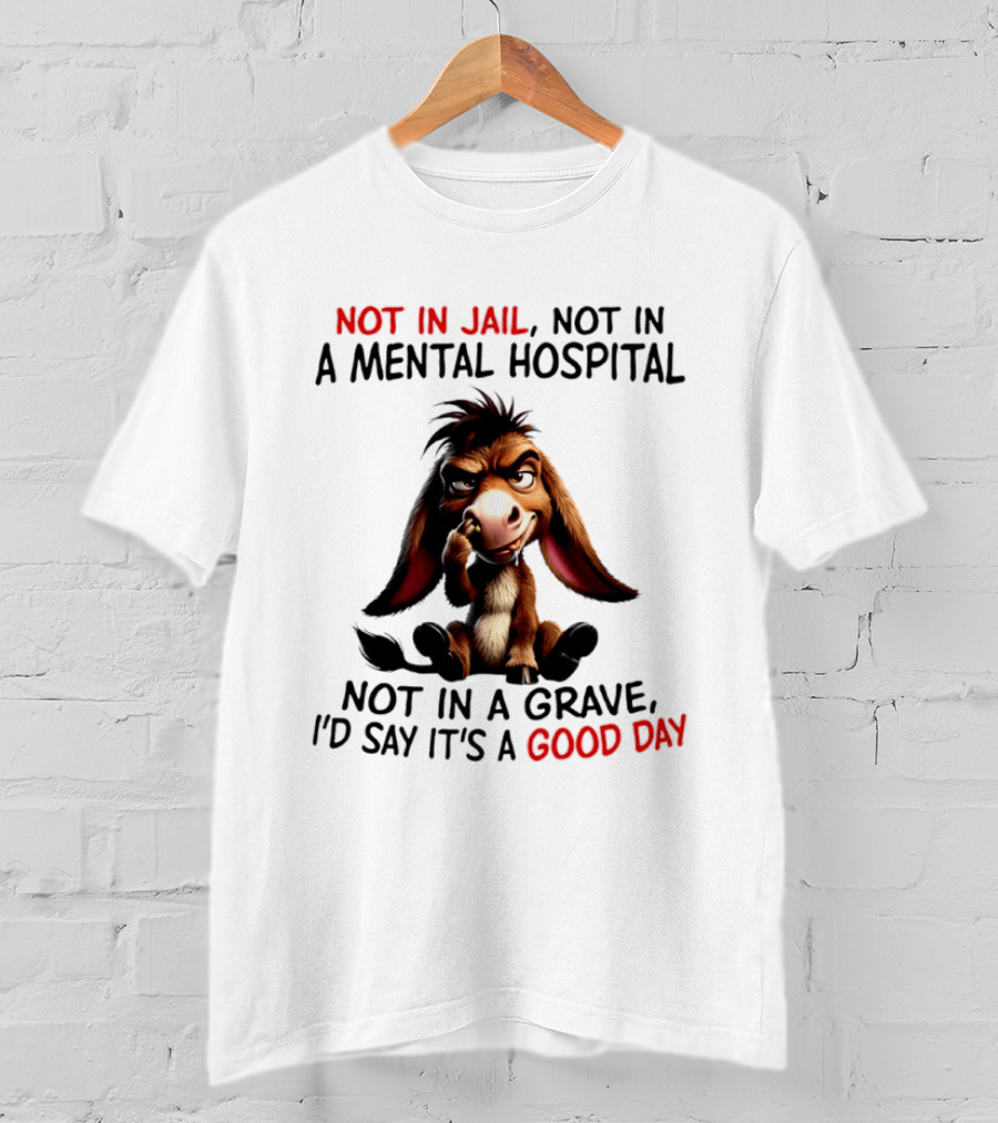 Donkey Not In Jail Not In A Mental Hospital Not In A Grave I'd Say It's A Good Day T-Shirt