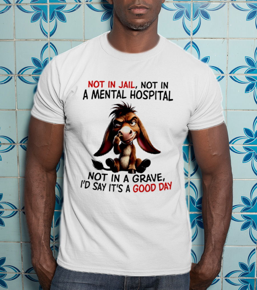 Donkey Not In Jail Not In A Mental Hospital Not In A Grave I'd Say It's A Good Day T-Shirt