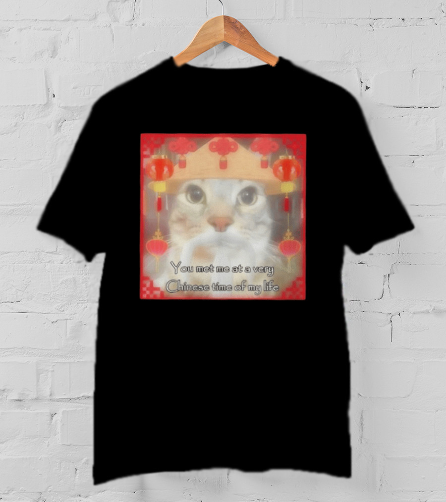 You Met Me At A Very Chinese Time Of My Life Cat Lanterns Hat T-Shirt