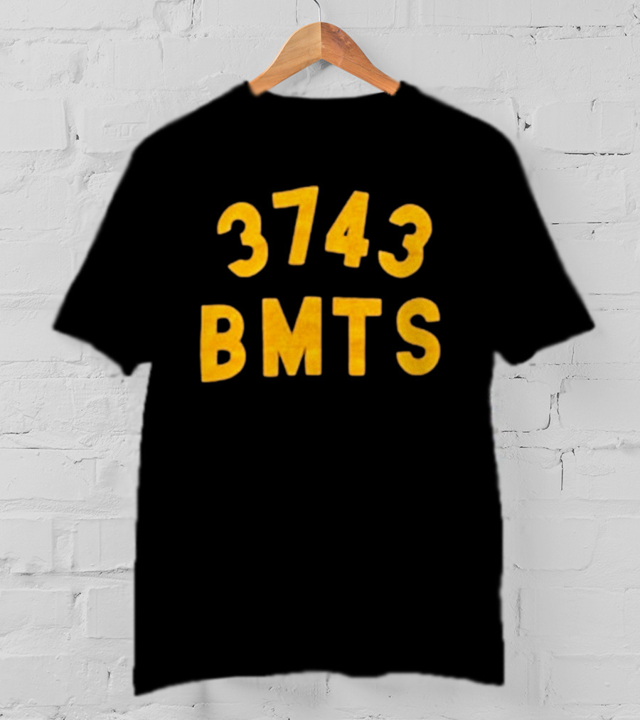 Barn Owl Seattle 3743 BMTS T-Shirt