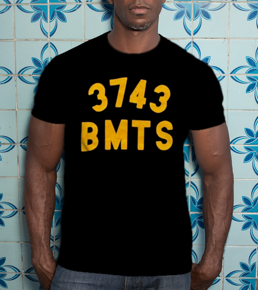 Barn Owl Seattle 3743 BMTS T-Shirt