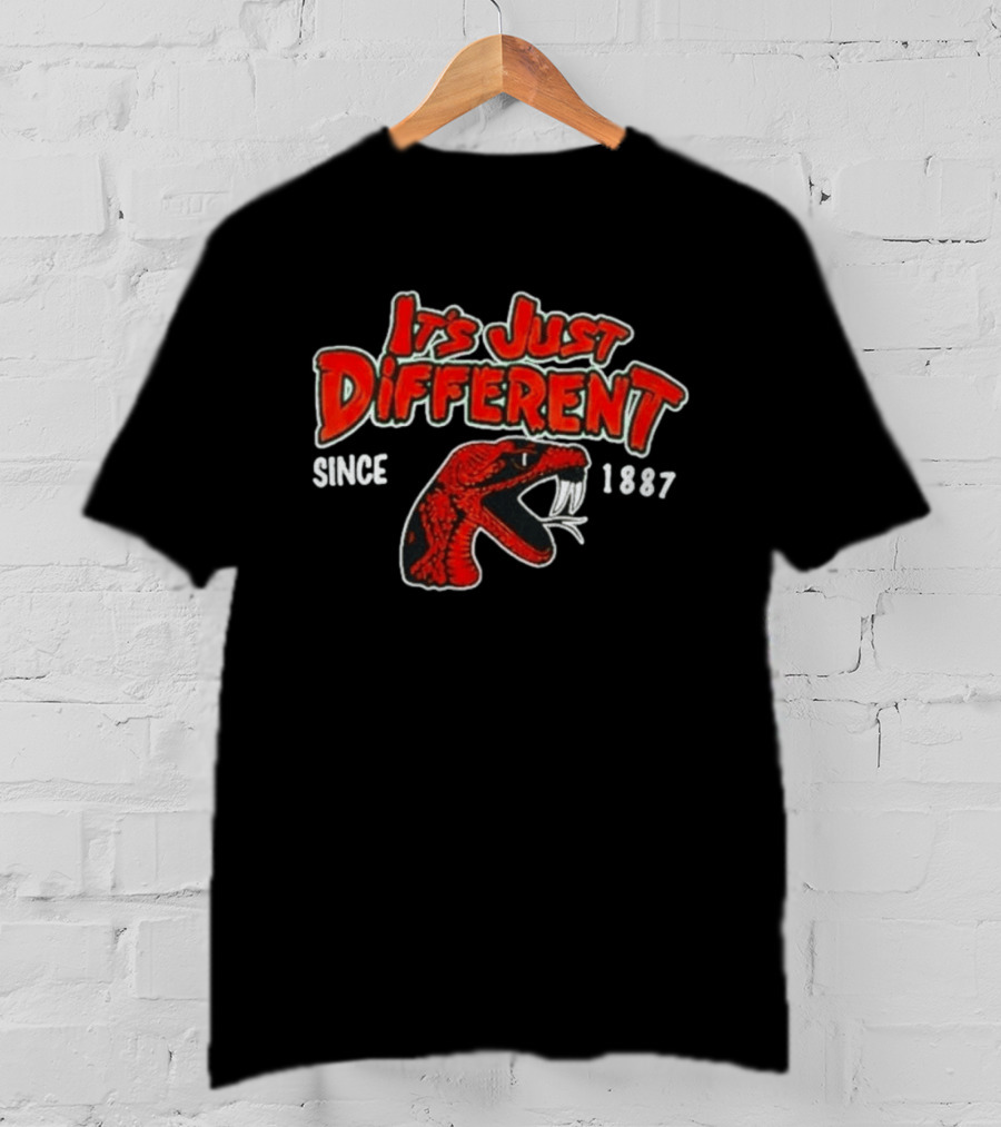 Florida A&M Rattlers It's Just Different Since 1887 T-Shirt