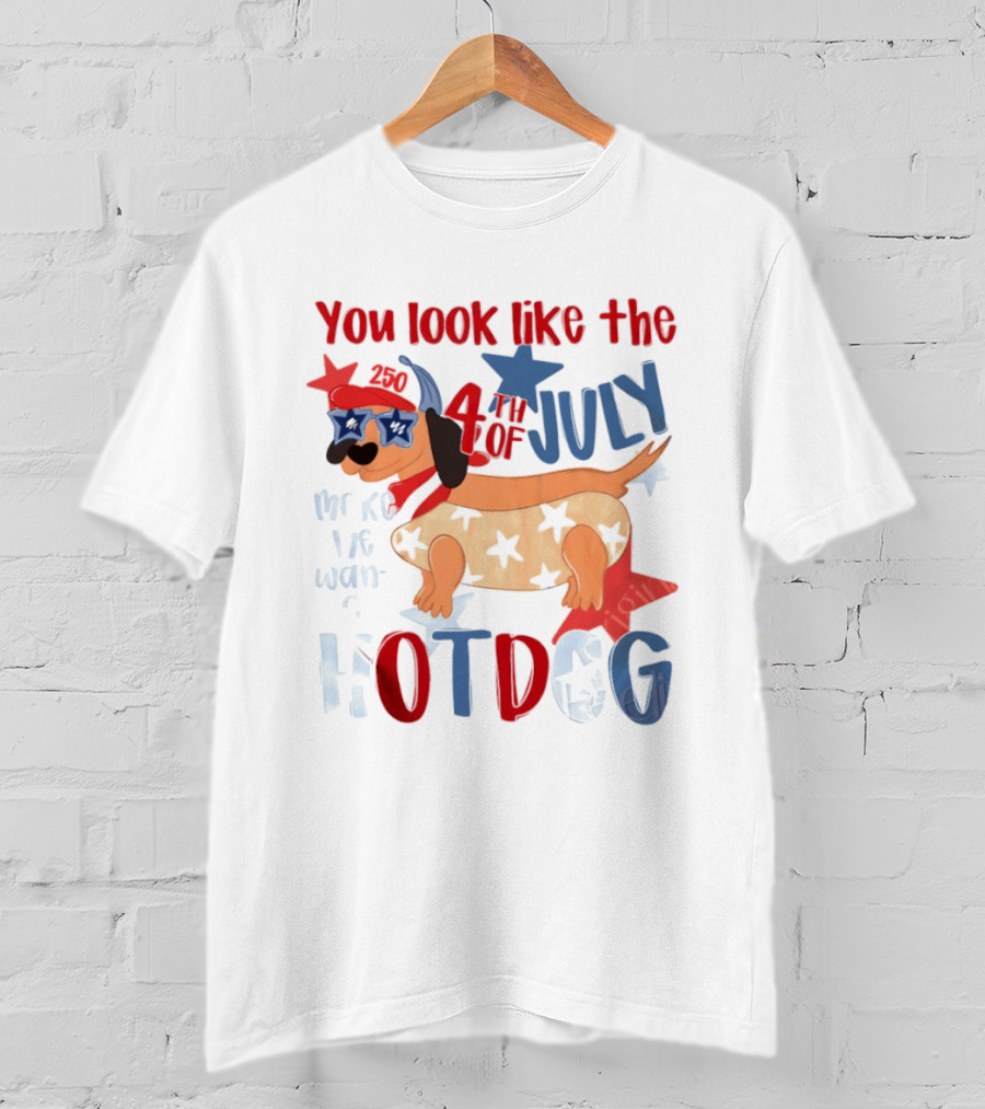 You Look Like The 4th Of July Make Me Want A Hotdog 2020 Dog Star Hat T-Shirt