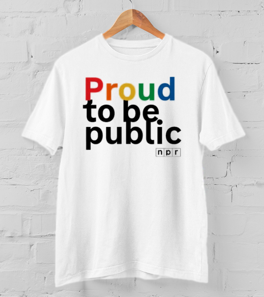 Proud To Be Public Colorful Pride T-Shirt