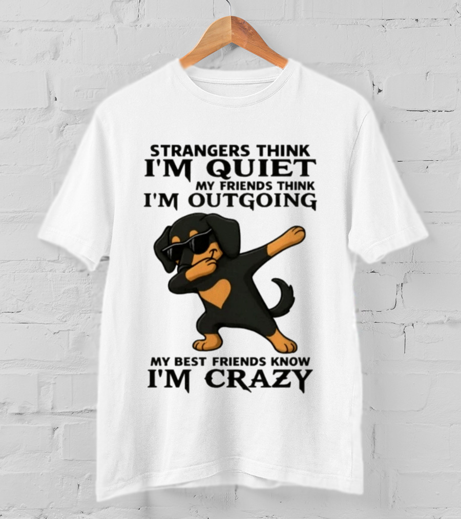 Strangers Think I'm Quiet Friends Think I'm Outgoing Best Friends Know I'm Crazy Dabbing Dachshund T-Shirt