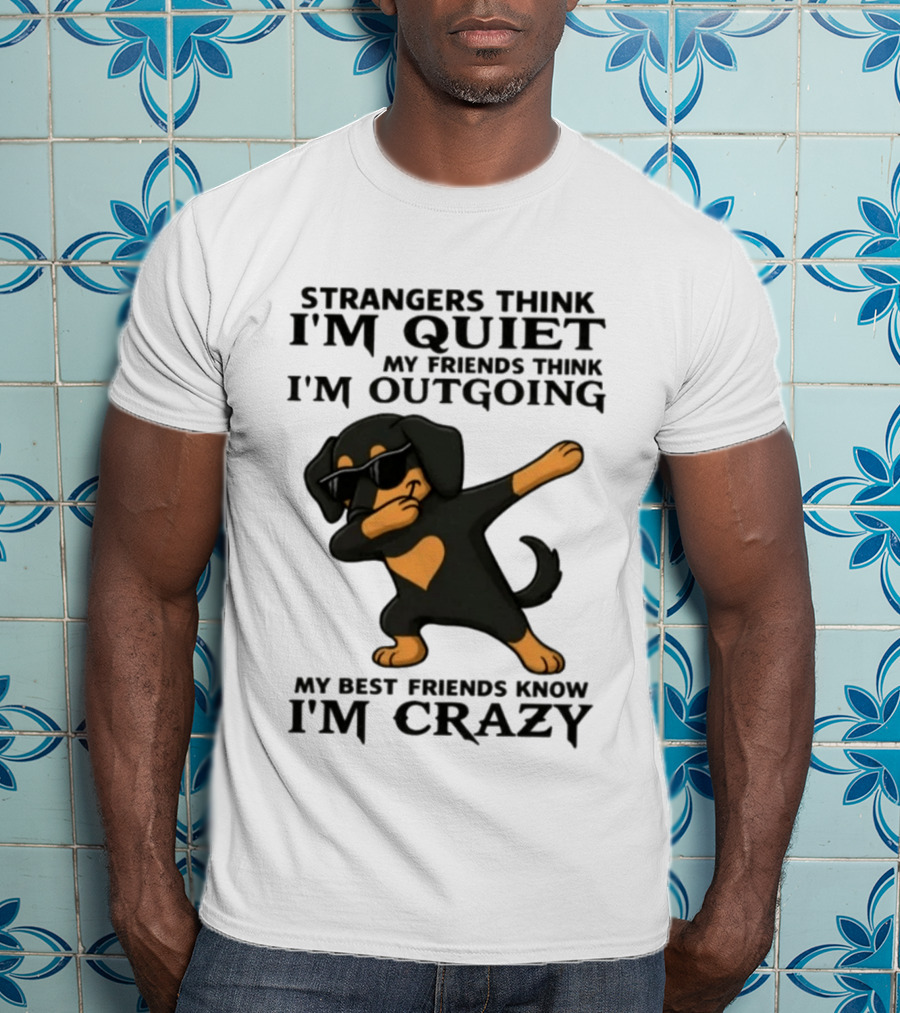 Strangers Think I'm Quiet Friends Think I'm Outgoing Best Friends Know I'm Crazy Dabbing Dachshund T-Shirt