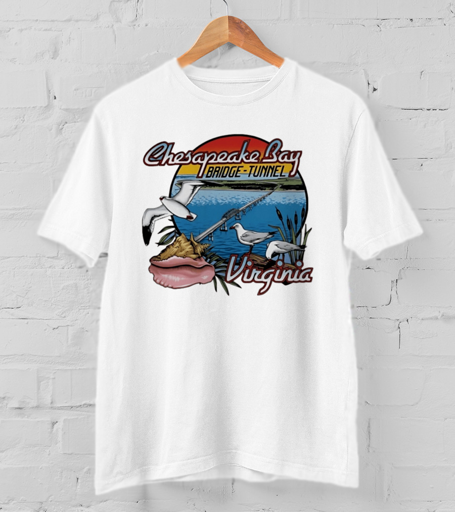 Chesapeake Bay Bridge Tunnel Virginia Seagulls Sunset Scene T-Shirt