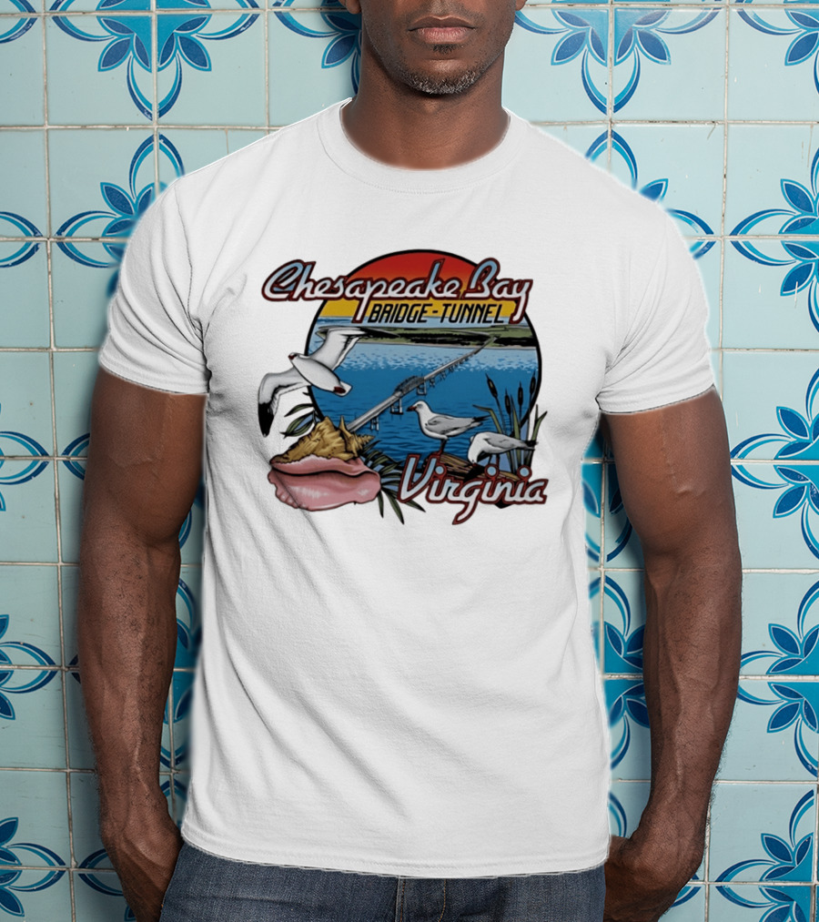 Chesapeake Bay Bridge Tunnel Virginia Seagulls Sunset Scene T-Shirt