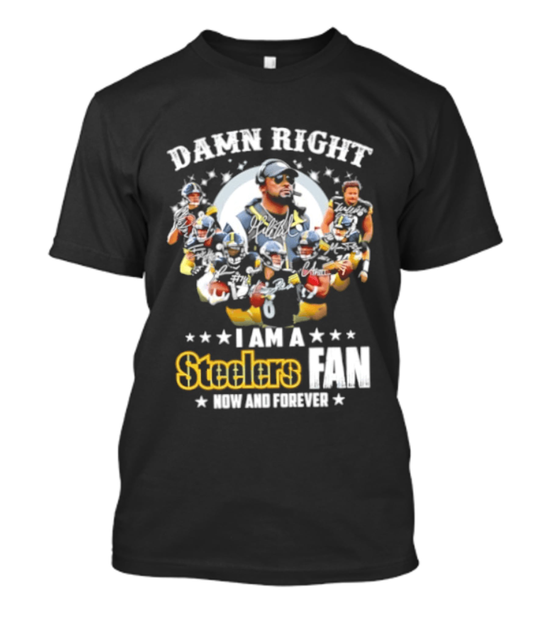 Pittsburgh Steelers Damn Right I Am A Steelers Fan Now And Forever T-Shirt