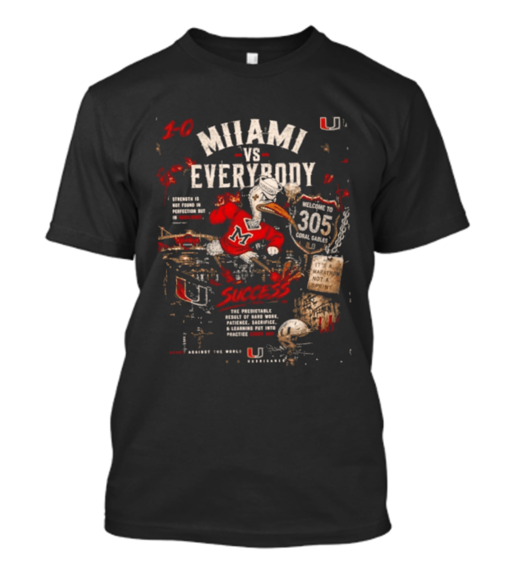 Miami Hurricanes 30 Vs Everybody 305 Swoosh Sebastian The Ibis Not A T-Shirt
