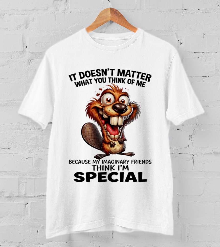 It Doesn't Matter What You Think Of Me Because My Imaginary Friends Think I'm Special Cartoon T-Shirt