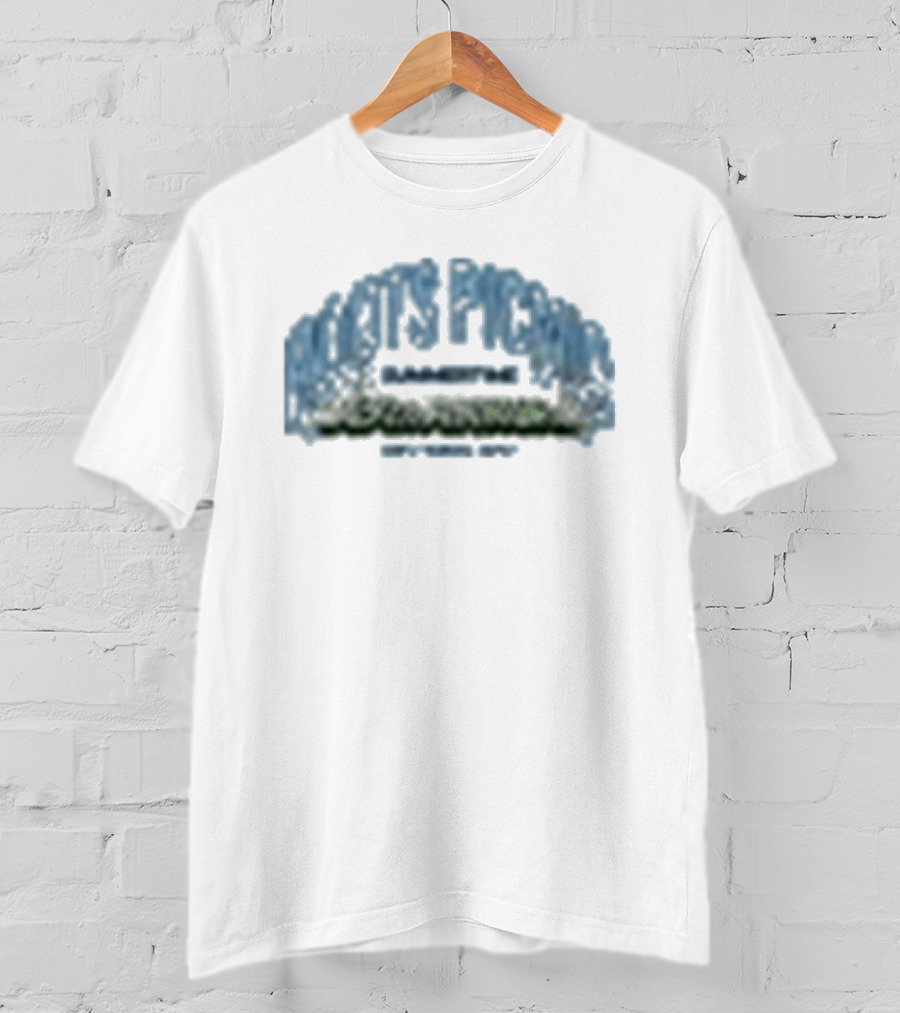 Roots Picnic 18th Annual Sun Chambray RP 26 T-Shirt