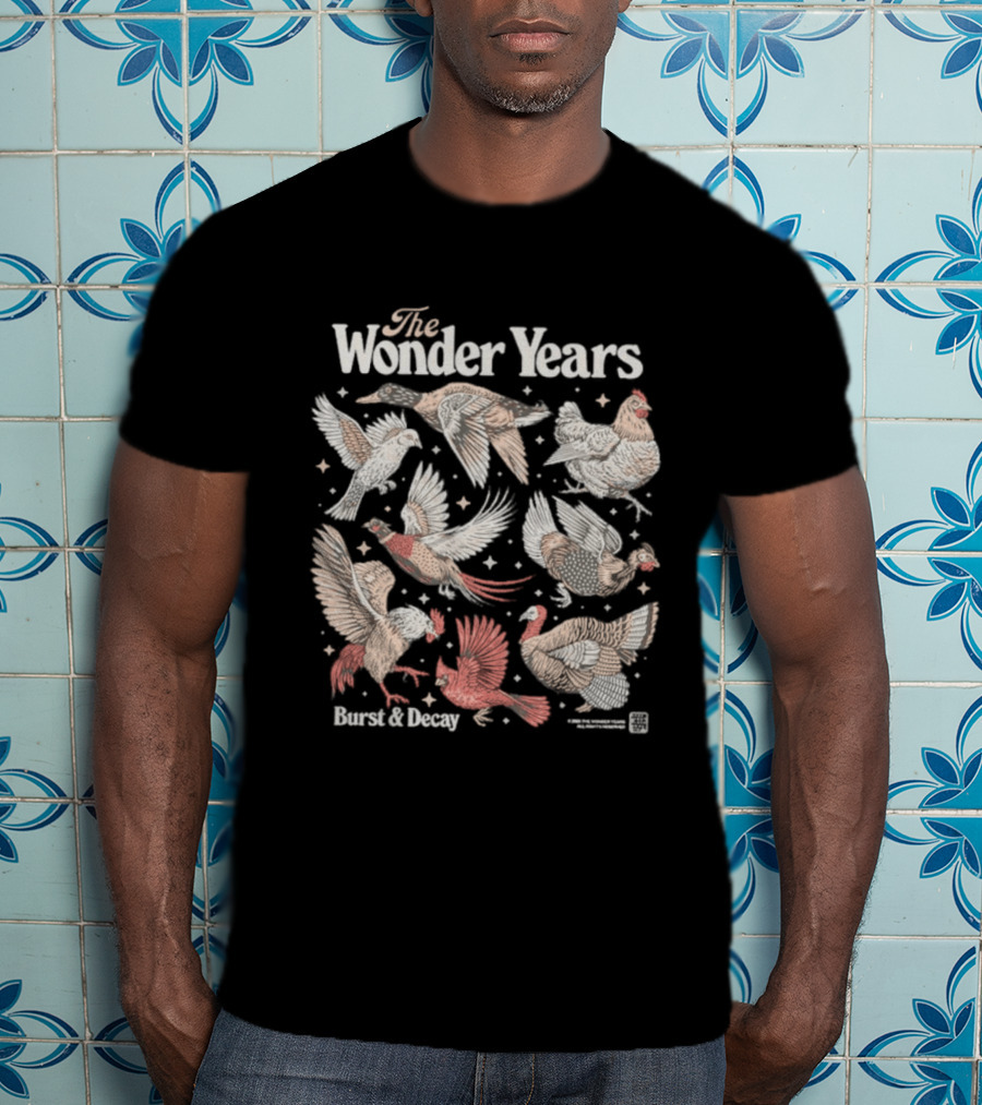 The Wonder Years Burst Decay Birds Vintage Aesthetic T-Shirt